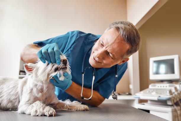 Best Walk-In Emergency Dentist in Stilwell, OK